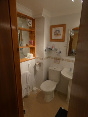 Bathroom - Foxholes Country Hotel (Oban)