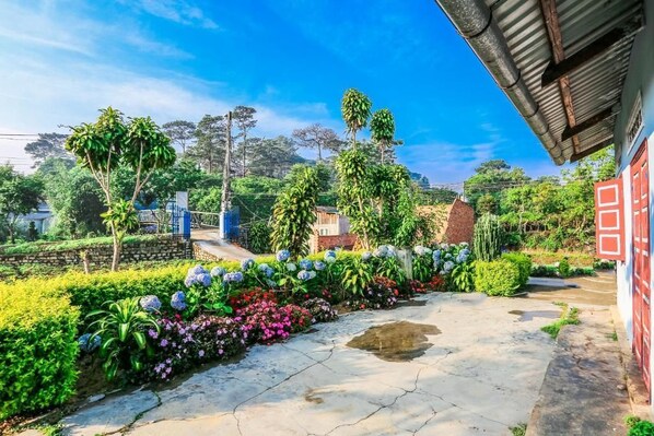 Property grounds - Dalat Chocolate Homestay (Da Lat)