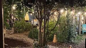 Ein Patio mit Tisch und Stühlen, umgeben von Pflanzen und dekorativer Beleuchtung.