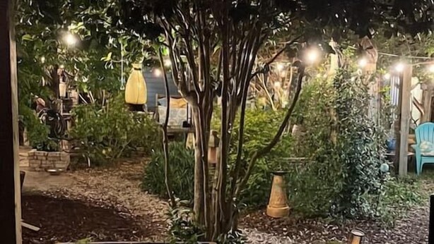 Un espace patio aménagé avec une table et des chaises, entouré de plantes et illuminé de guirlandes lumineuses décoratives.