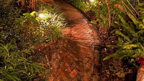 Ein gepflasterter Weg schlängelt sich durch einen Garten mit verschiedenen Pflanzen und Sträuchern, umgeben von einem Zaun.
