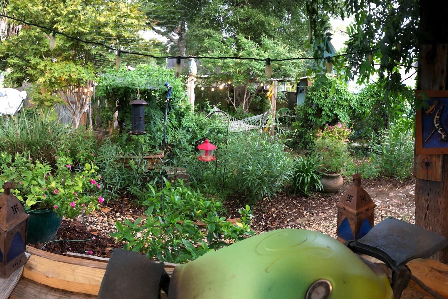 Un jardin avec différentes sortes de plantes, un hamac et une mangeoire à oiseaux.