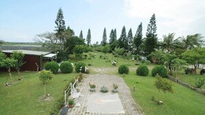 Un jardin aménagé avec une zone pavée, différents arbres et un bâtiment en arrière-plan.