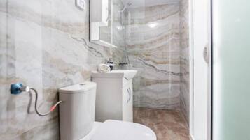Shower, hair dryer, bidet, towels