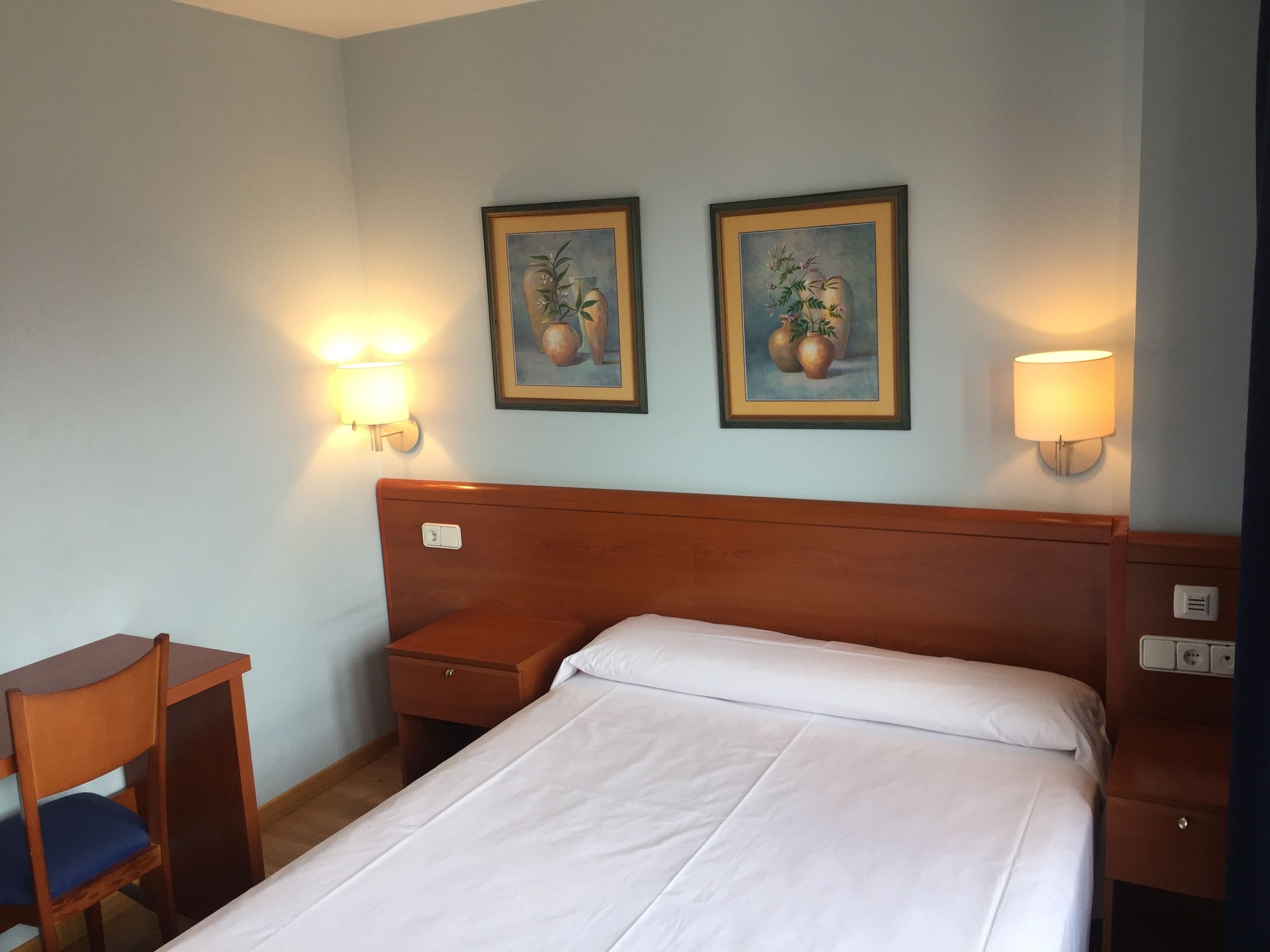 Habitación de hotel con una cama individual, una mesita de noche de madera, un escritorio con una silla, dos lámparas de pared y dos cuadros enmarcados con motivos florales.