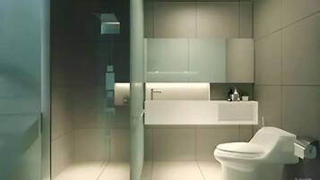 Shower, hair dryer, electronic bidet, towels