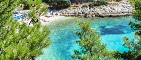 Playa en los alrededores
