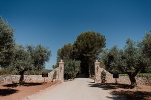 A dirt road leading to a stone gate with a sign, surrounded by olive trees. - Les chambres du Château Rasque (Taradeau)