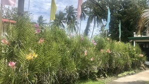 Um jardim exuberante com diversas plantas e flores, um caminho pavimentado e um edifício com telhado verde ao fundo.