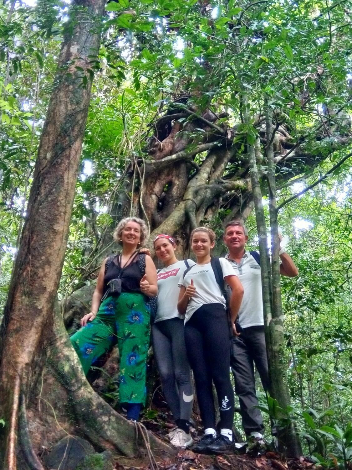 Un grupo de personas de pie en un área boscosa, con un tronco de árbol grande al frente.