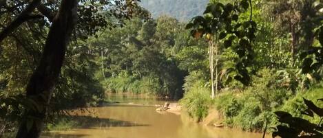 A river surrounded by dense forest and hills.