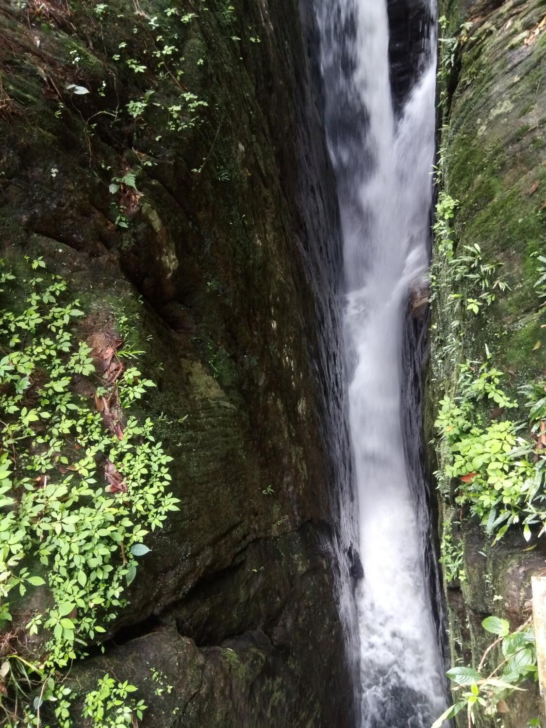 A waterfall cascading down a moss-covered rock.