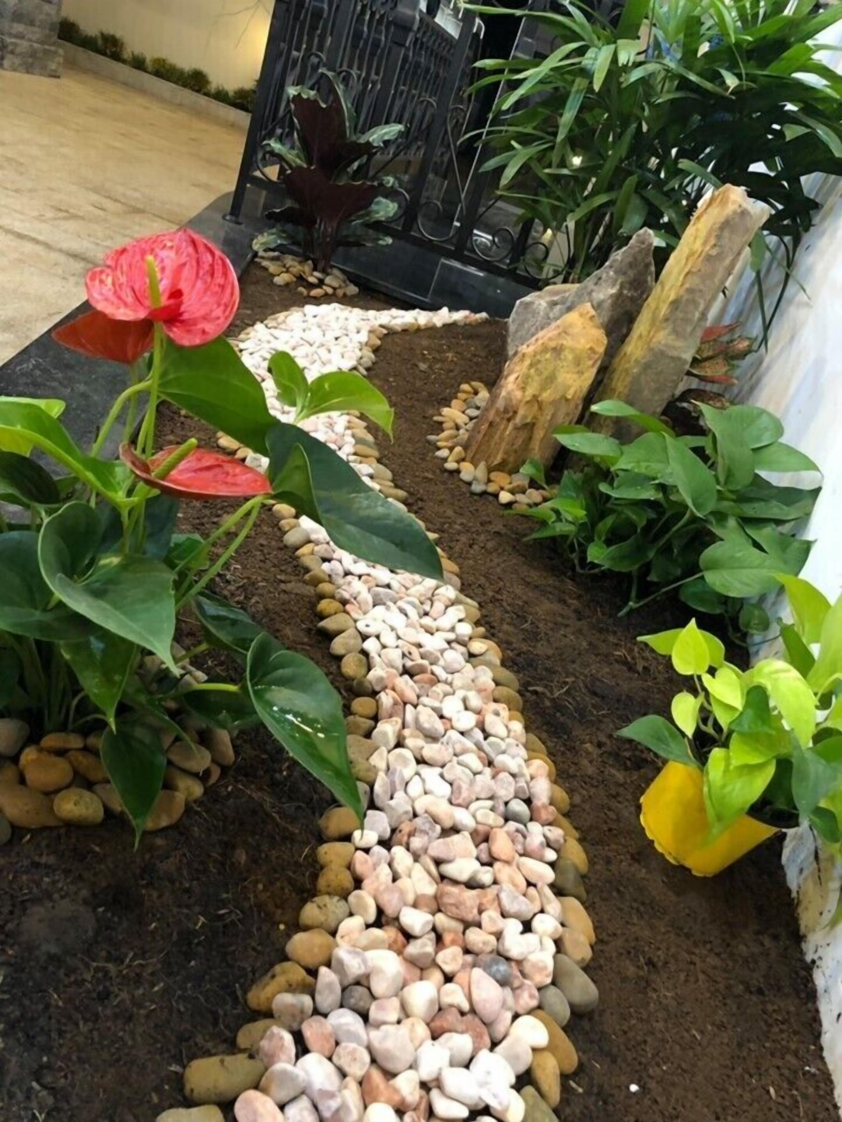 A garden pathway with pebbles, surrounded by various plants and a large tree trunk.