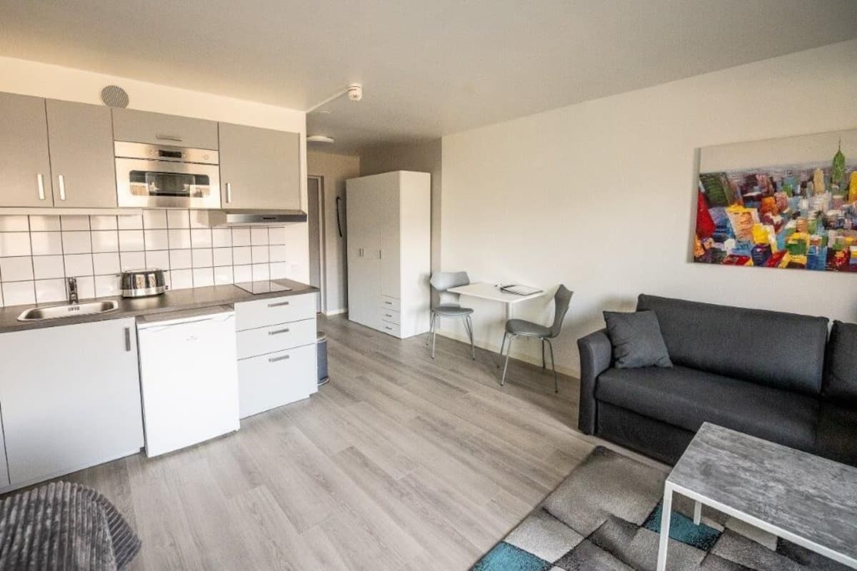 family room, kitchenette (executive) | 1 bedroom, desk, laptop workspace, blackout curtains