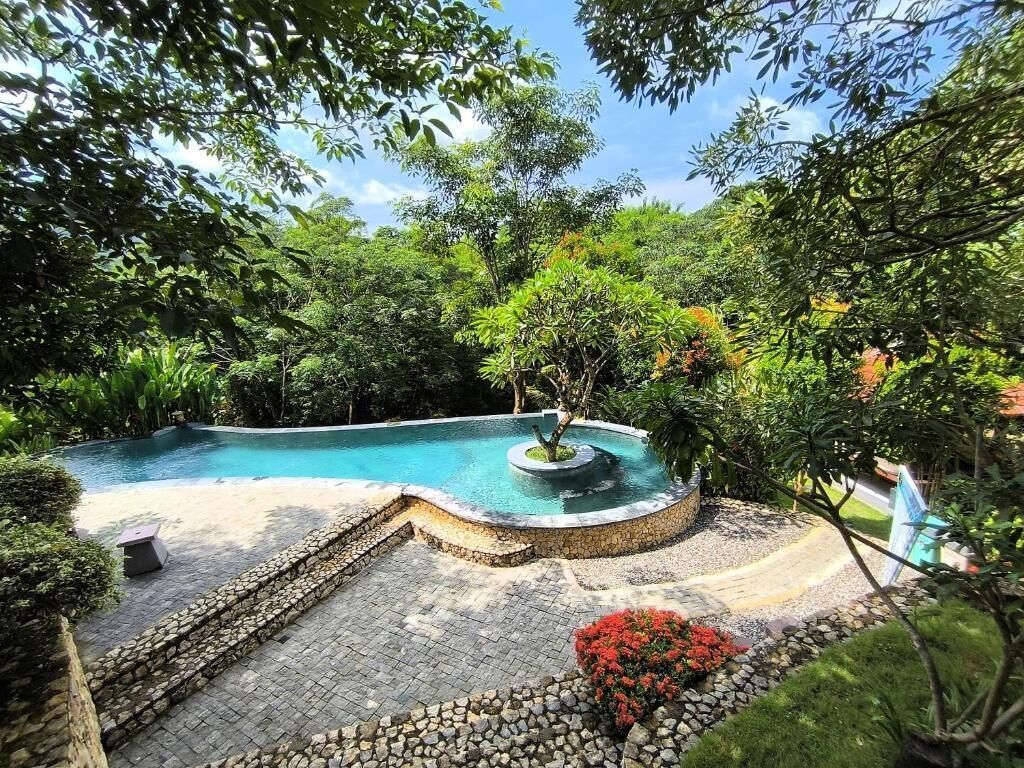 A swimming pool surrounded by lush greenery and stone pathways.