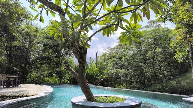 A circular pool with a tree in the center, surrounded by lush greenery. - Tahoma Villas Labuan Bajo by ABM (Labuan Bajo)