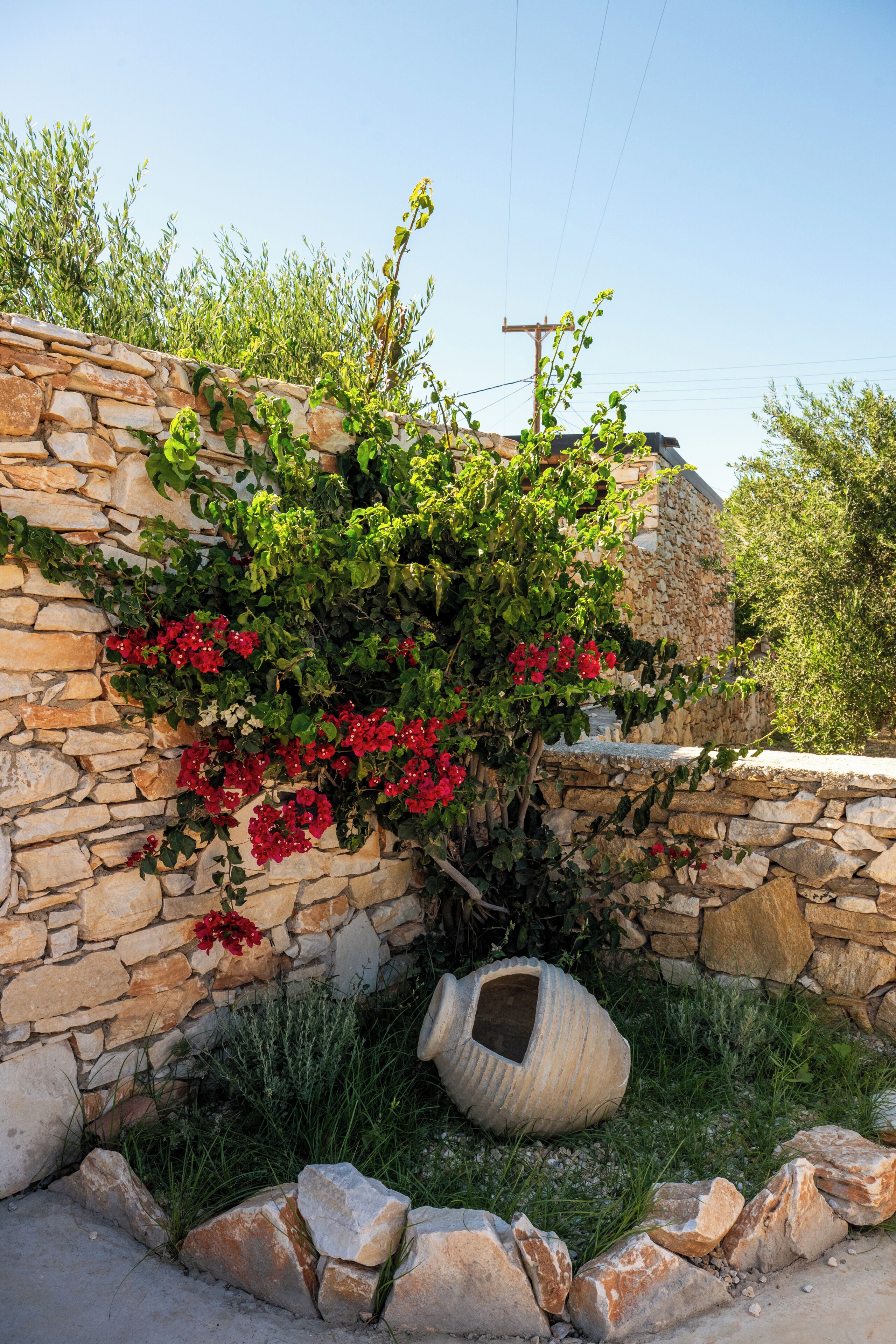 A stone wall with climbing plants and red flowers.
