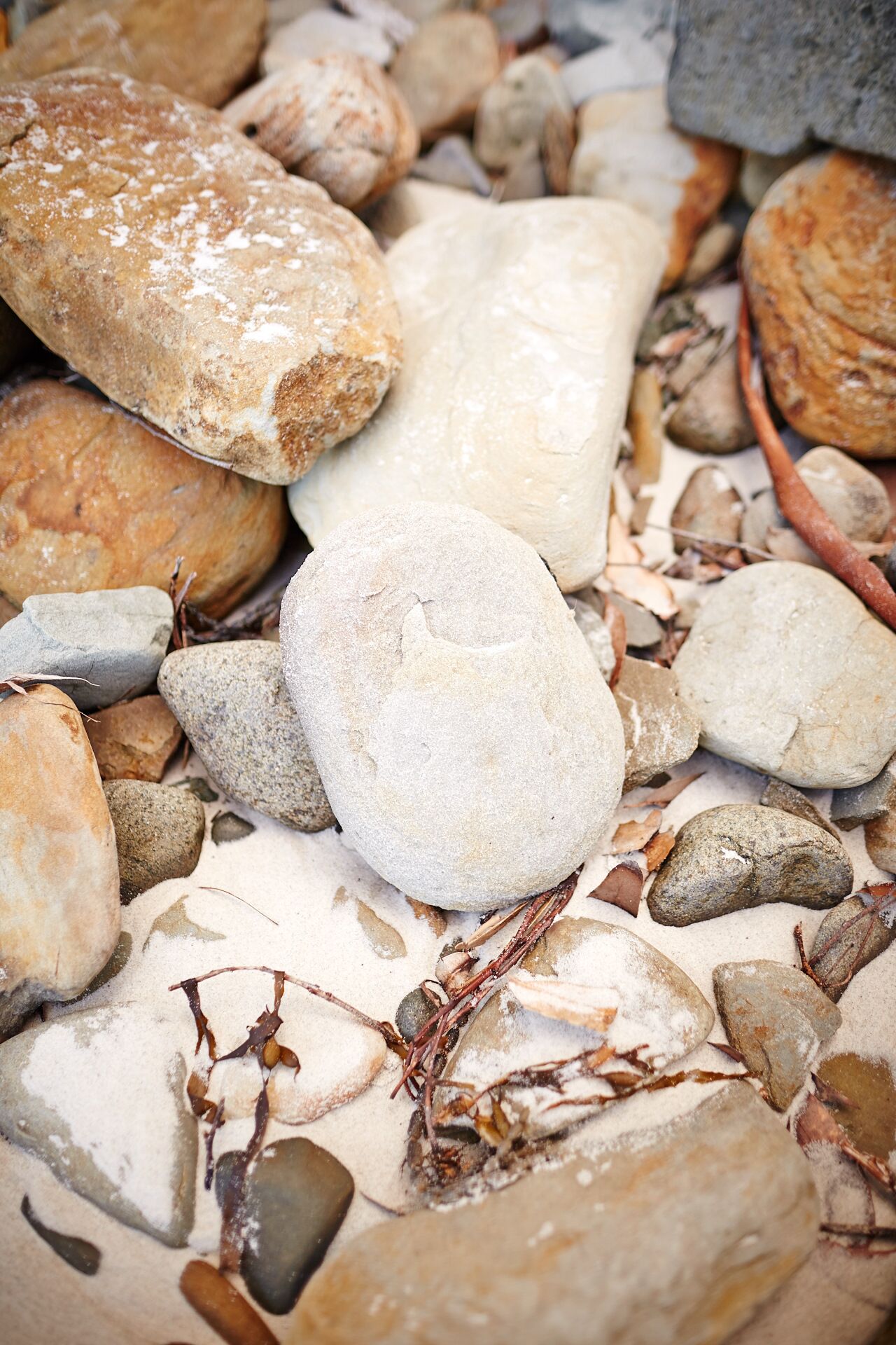 Adventure Bay Retreat — image 27