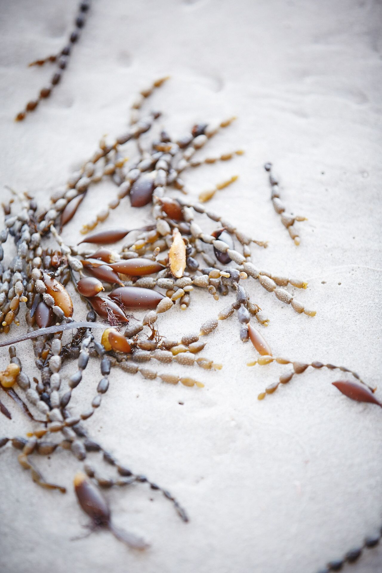 Adventure Bay Retreat — image 26