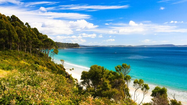 Et kystlandskab med en strand, klart blåt hav og frodig, grøn skov.