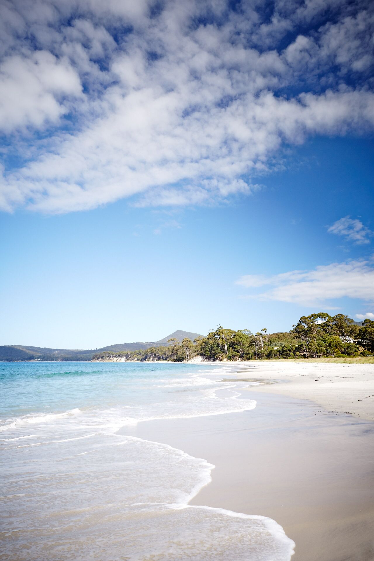 Adventure Bay Retreat — image 25