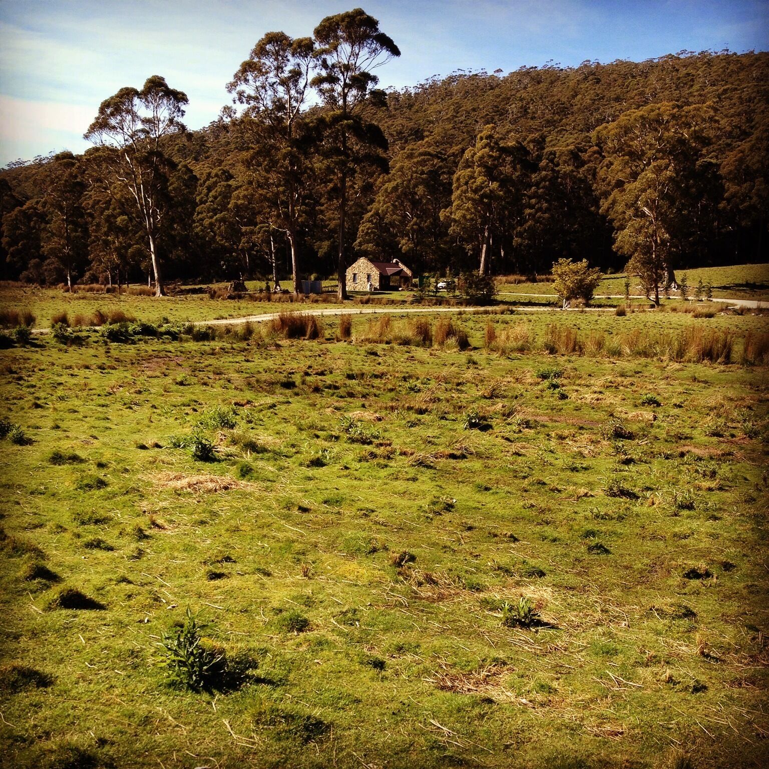 Adventure Bay Retreat — image 15