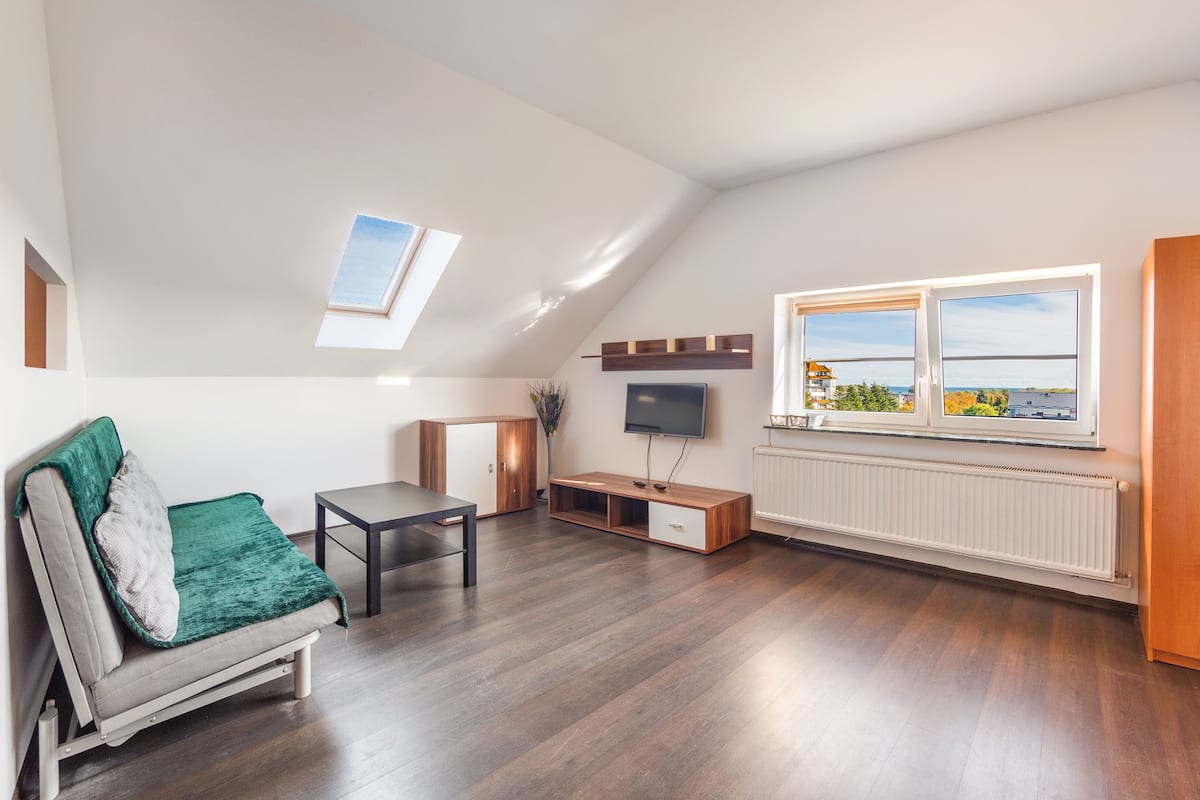 Ein modernes Schlafzimmer im Loft-Stil mit schrägem Dach, einem Oberlicht, einem großen Fenster, einem integrierten Fernseher und einem Holzschrank.