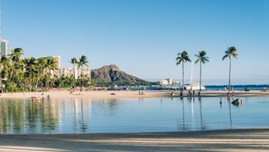 A beach with palm trees, a mountain in the background, and a calm sea.