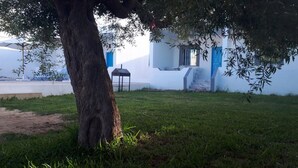 A grassy area with a tree and a white building with blue accents. - Dar Aesha (Aghir)