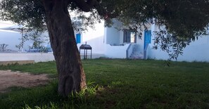 Garden - Dar Aesha (Aghir)