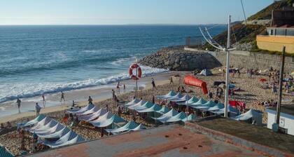 Quinta da fence dinosaur park T3
