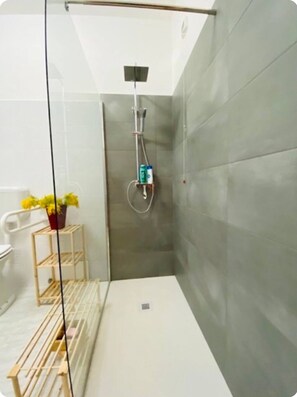 Combined shower/bathtub, hair dryer, towels, soap