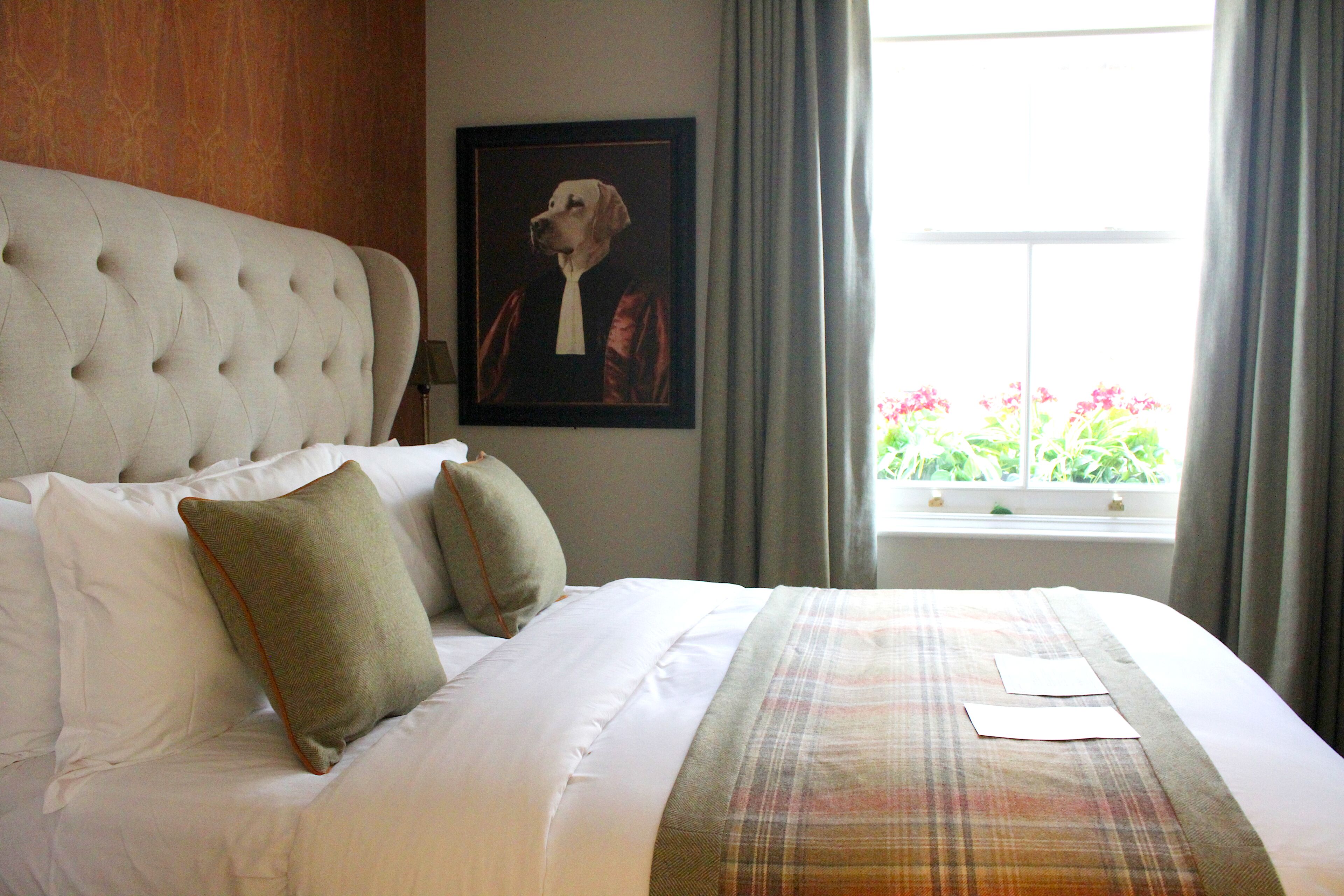 Photo - The Hayden Pub & Rooms