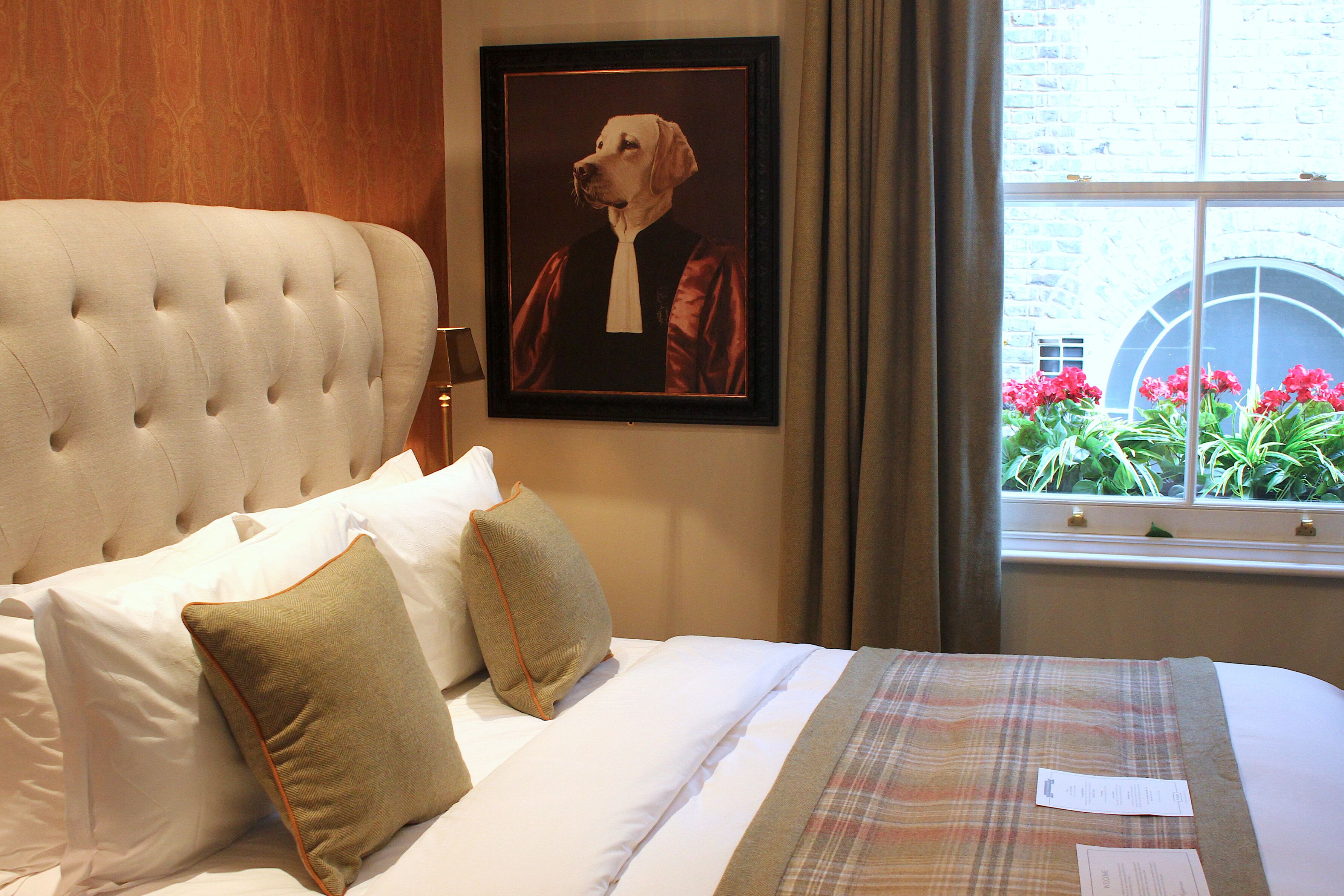 Photo - The Hayden Pub & Rooms