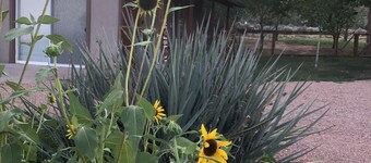 Vermilion Oasis a Hikers Heaven