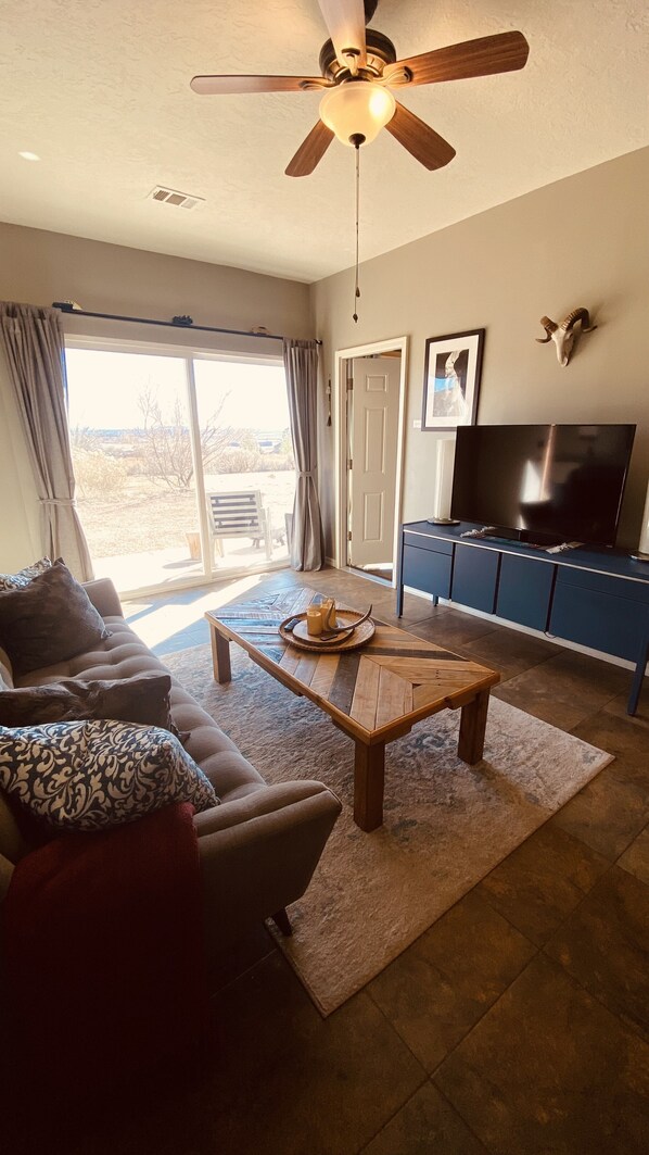 TV, fireplace, books