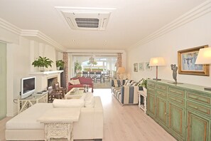 TV, fireplace, DVD player