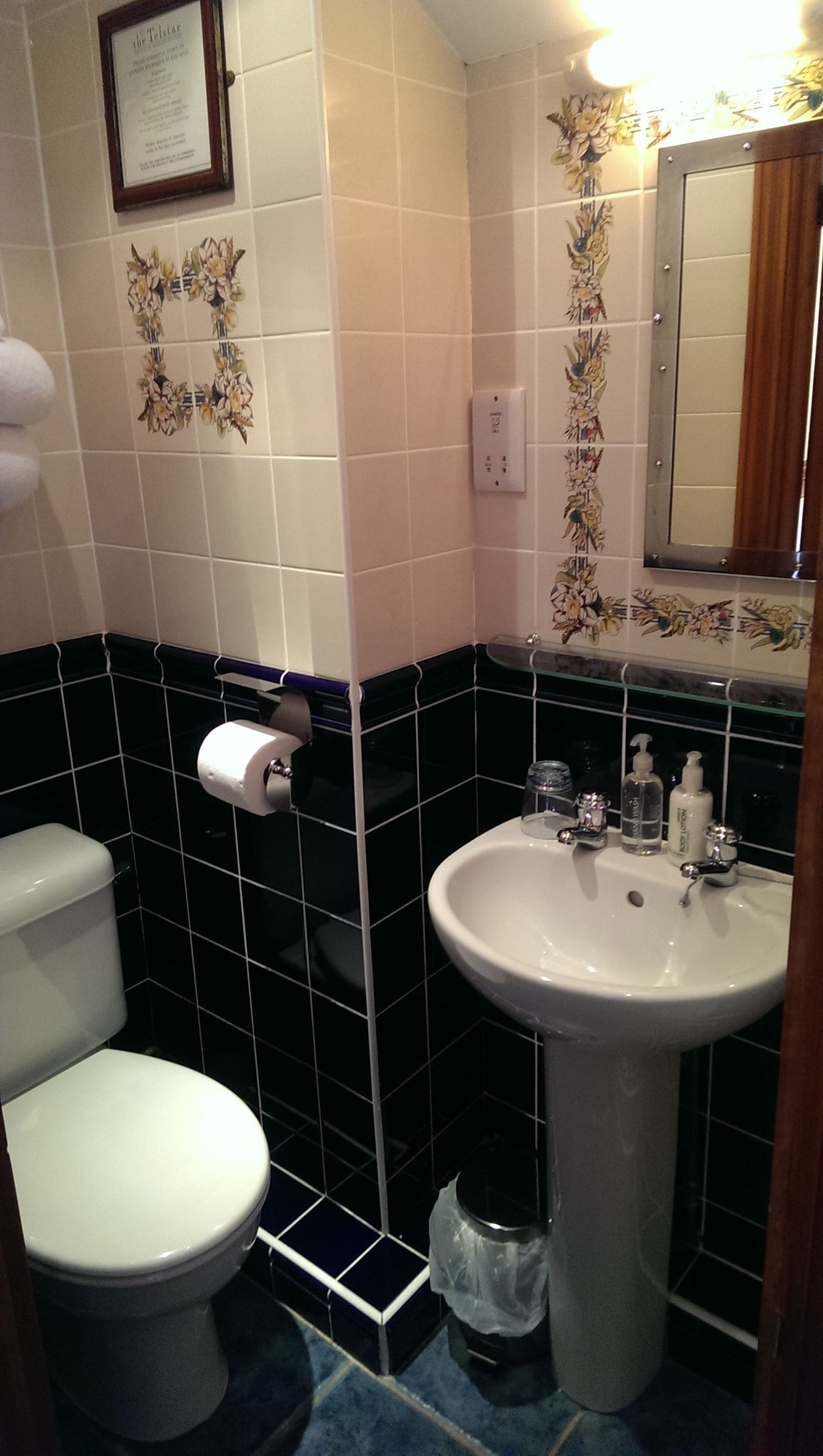 executive single room, private bathroom | bathroom | hair dryer, towels, soap, shampoo