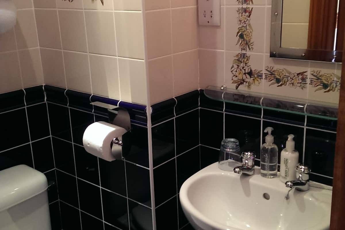 executive single room, private bathroom | bathroom | hair dryer, towels, soap, shampoo