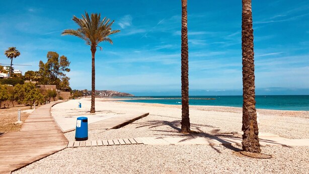 A beach with palm trees, a wooden walkway, and a clear blue sky.