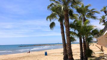 Plage, chaises longues