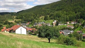 A rural village with houses on a hillside, surrounded by greenery and a forested mountain. - Hotel Mühlbergblick (Frankenblick)