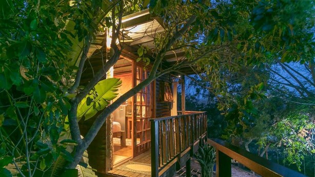 Exclusive Tree House, 1 Double Bed, Lagoon View (3) | Building design - Knysna Lodge Self Catering Accommodation (Knysna)