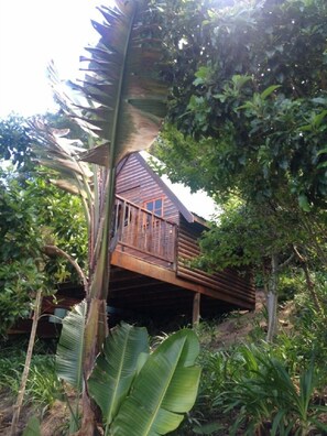 Diseño del edificio