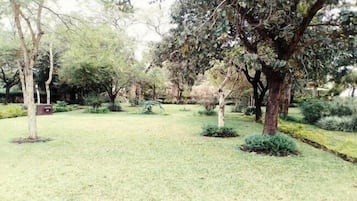 Jardí