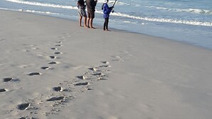 A beach with footprints leading to the water. - The-Ark B & B (Pearly Beach)