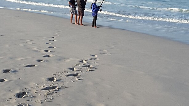 A beach with footprints leading to the water. - The-Ark B & B (Pearly Beach)