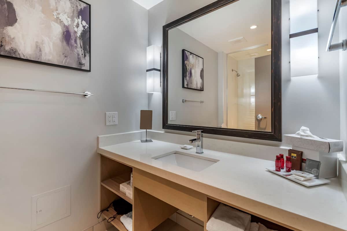 free toiletries, hair dryer, towels