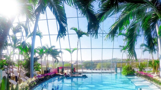 Una piscina interior con agua azul cristalina, rodeada de palmeras y plantas, con amplias ventanas que ofrecen vistas del paisaje.