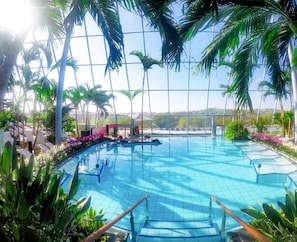 Una piscina interior con agua azul cristalina, rodeada de palmeras y plantas, con amplias ventanas que ofrecen vistas del paisaje.